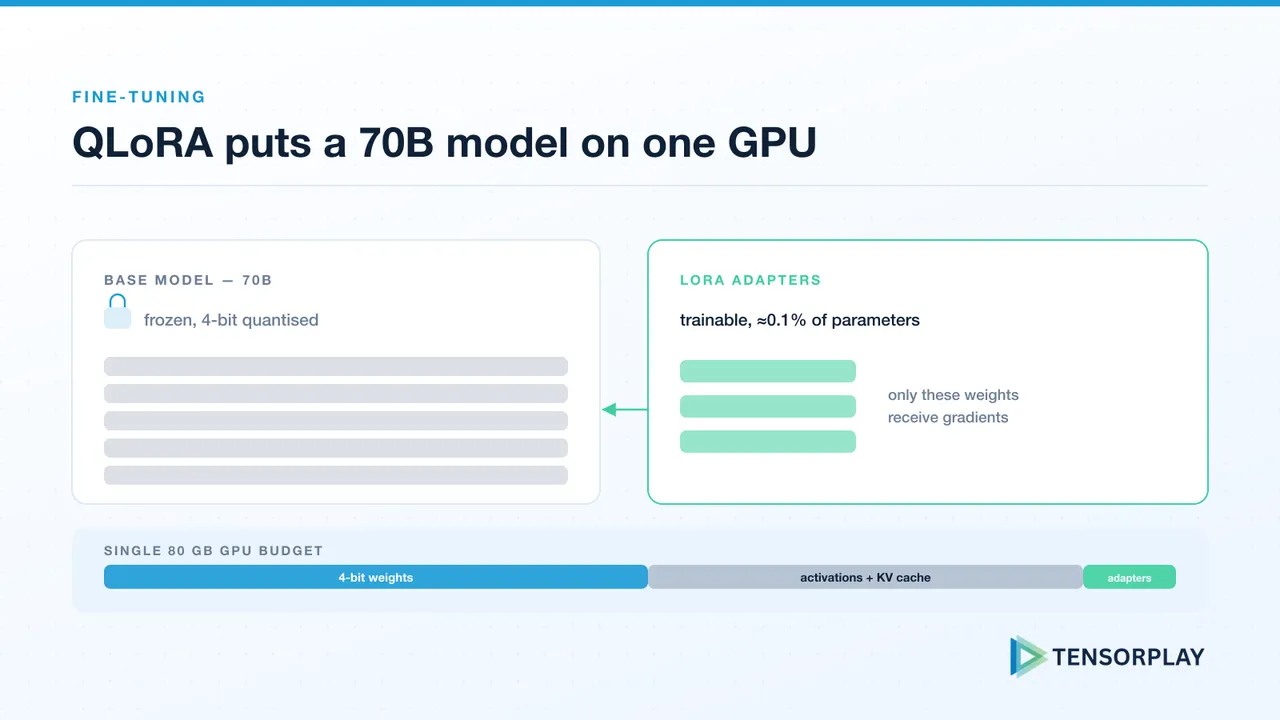Frozen 4-bit base model with trainable LoRA adapters and a single 80 GB GPU memory budget